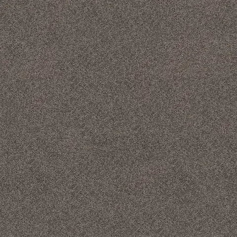 Chestnut carpet swatch